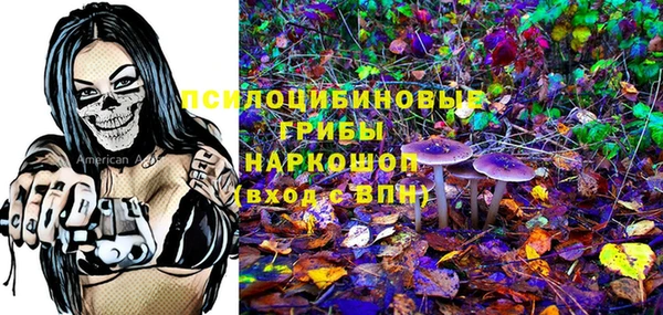 гидропоника Богородицк