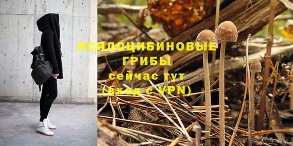 гидропоника Богородицк