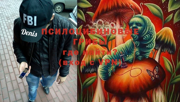 ешки Богданович